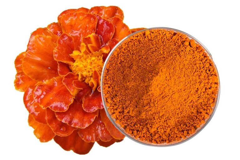 Marigold Extract