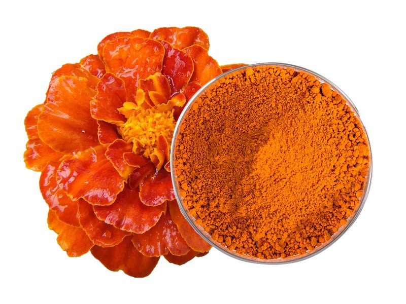 Marigold Extract